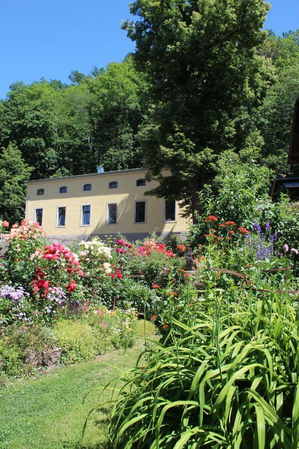 Ferienwohnung Goldgrund Meissen Extérieur photo